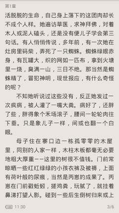 菲律宾护照包含了什么 都有什么作用